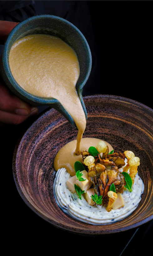 appetizer french cuisine fine dining 