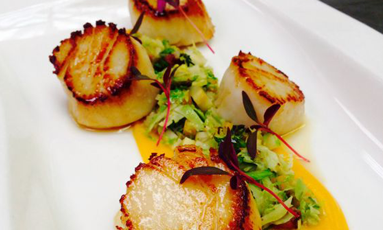 seared scallops french cuisine fine dining 